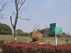 -嘉北郊野公园
