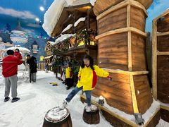 -世界之窗阿尔卑斯冰雪世界