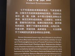 -河姆渡遗址博物馆