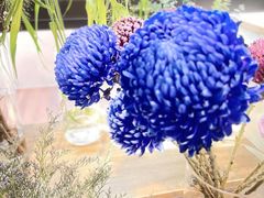 -上海鲜花港