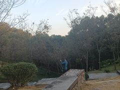 -福道