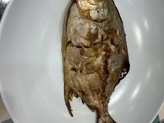 -紫光园·烤鸭·北京菜(劲松店)