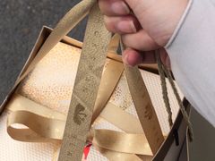 -BLACKSWAN黑天鹅(环球店)