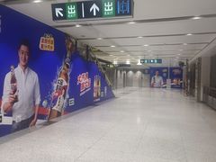 -望京西(地铁站)