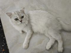 -美联众合24小时·皮肤科·外科·全科诊疗中心(华苑分院)