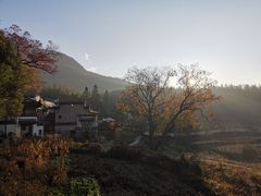 -塔川景区