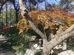 -汇龙潭