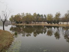 -东郊湿地公园