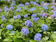 -常州古运河南大街文化旅游区-人民公园