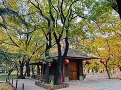 -国家植物园南园