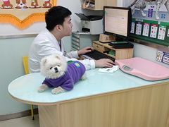 -宠福鑫康馨动物医院·骨科·眼科