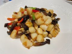 -天福苑(崇宁路店)