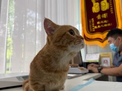 -美美宠物诊疗中心·异宠·骨科(滨江东信分院)