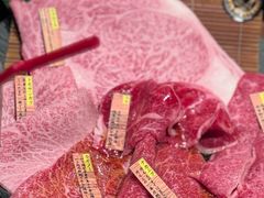 -俺的焼肉(銀座9丁目店)