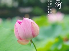 -解放公园