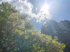-北京十三陵国家森林公园蟒山景区