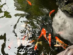 -顺德渔村·岭南一号