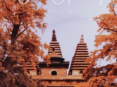 -北京石刻艺术博物馆