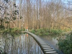 -桤木河湿地公园