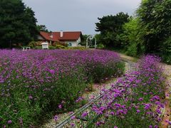 -云峰山自然风景区