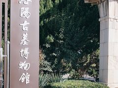 -洛阳古墓博物馆