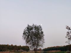 -滨湖塘西河公园