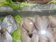 -潮十三潮汕砂锅粥(高新四路大都荟店)