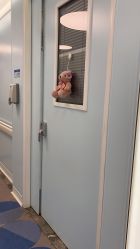 -杭州贝瑞斯美华妇儿医院·早孕·产检·儿科