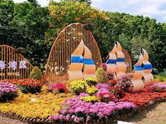 -上海共青森林公园