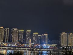 -重庆市江北嘴中央商务区中央公园