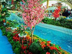 -天山海世界·米立方