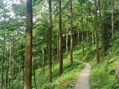 -莫干山风景区