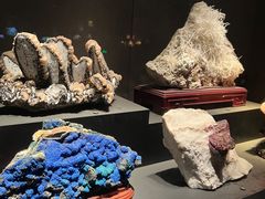 -浙江自然博物院(杭州馆)