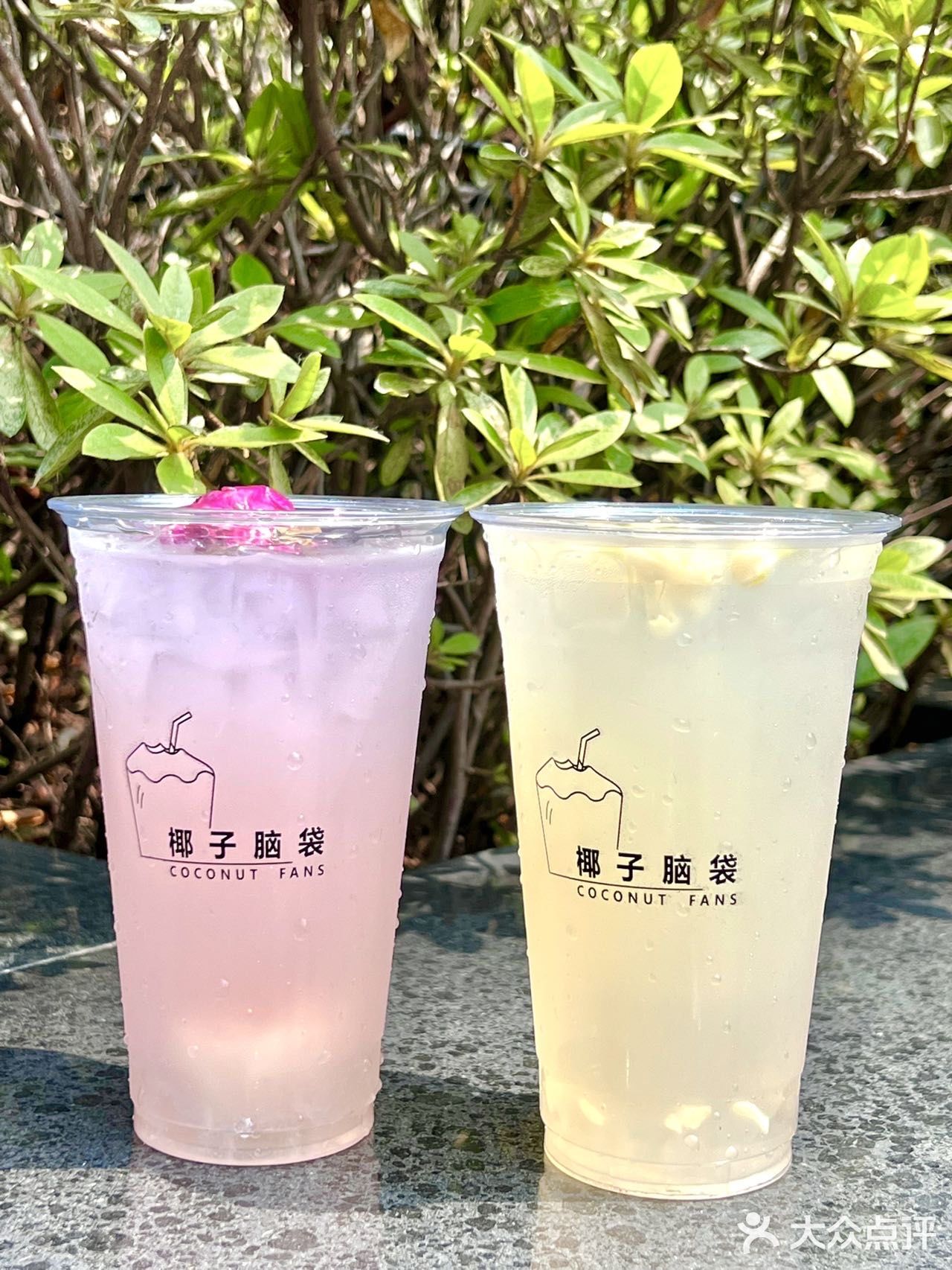 南京首家椰子专门店🥥一秒穿越三亚海边🌴