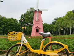 -顺峰山公园