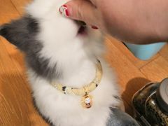 -海底捞火锅(龙湖北京大兴天街店)