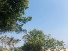 -椰风寨