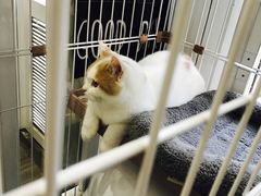 -白衬衫照相馆(五彩店)