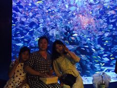 -成都浩海立方海洋公园