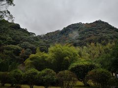 -天明山温泉大酒店
