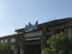 -南宫五洲植物乐园