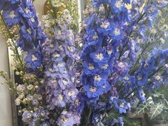 -FEI FEI FLOWER鲜花店·气球派对·宝宝宴布置(虹口德必运动Loft店)