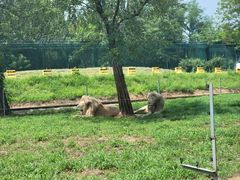 -秦皇岛野生动物园