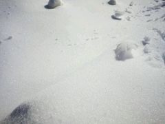 -大别山南武当滑雪场