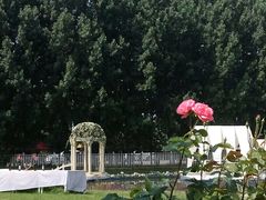 -白鹿原葡萄主题公园