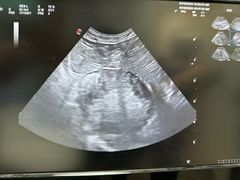 -中农大我爱我爱24h动物医院·中医针灸·猫专科·骨科医疗中心(双井店)