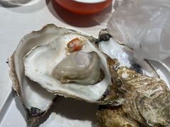 -杨氏青龙虾·羊蝎子(托乐嘉店)