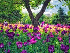 -长春公园(普阳街道)