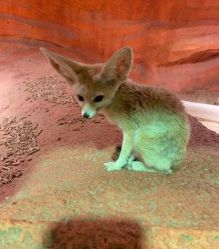 -酷嗒动物文化乐园(cutezoo西溪乐天城店)