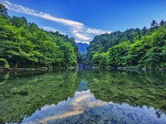 牯牛降-石台牯牛降景区